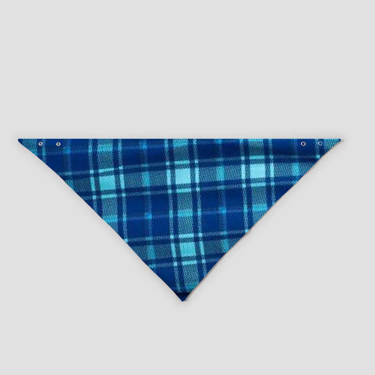"We are Family" 2024 Christmas Wreath - Blue Long Sleeve Top With Blue Plaid Family Matching Pajamas